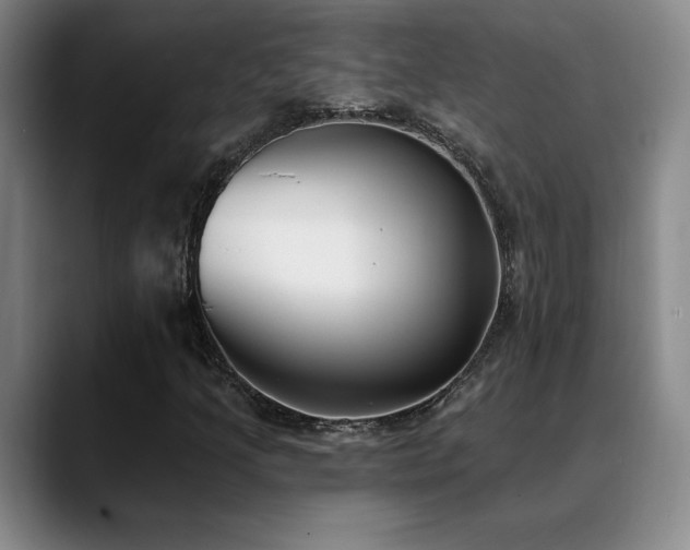 X0000089391205200706151216