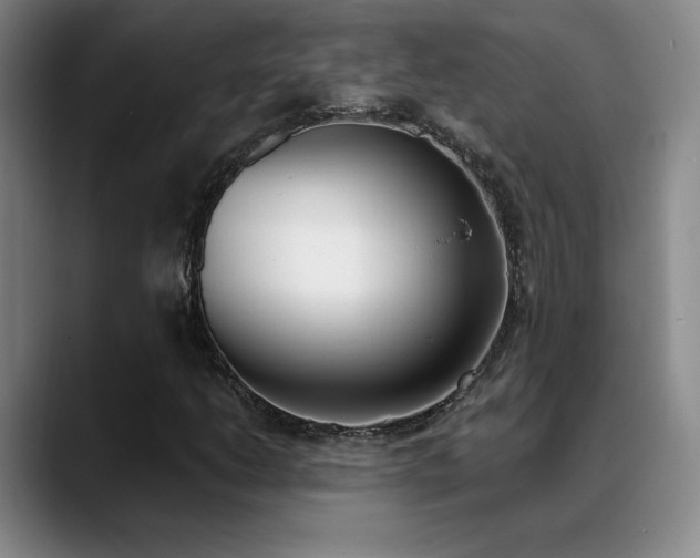 X0000089391206200706151216