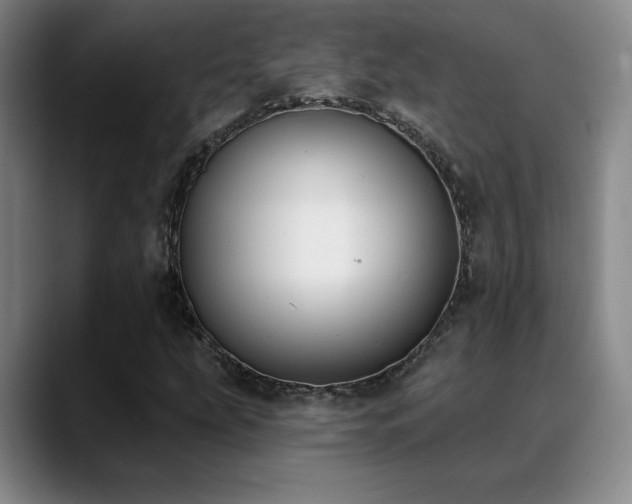 X0000089391207200706151216