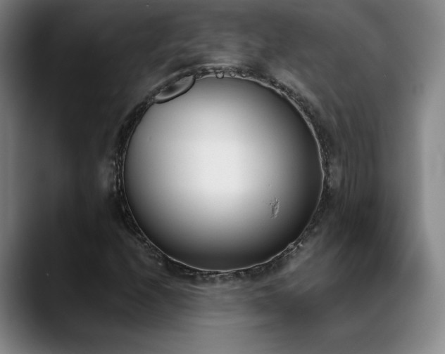 X0000089391208200706151216