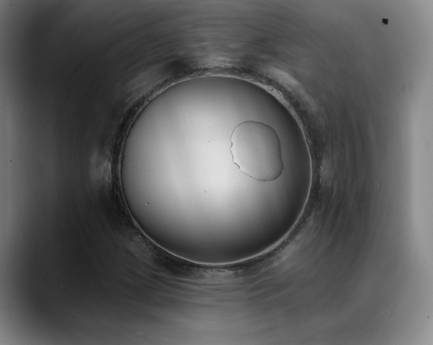 X0000089391209200706151216