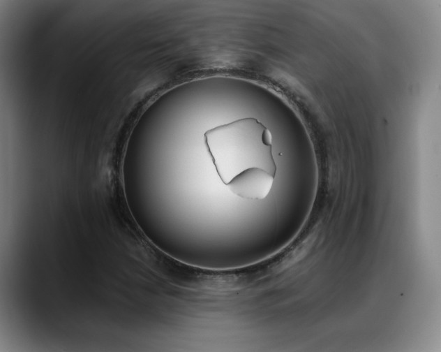 X0000089391210200706151216