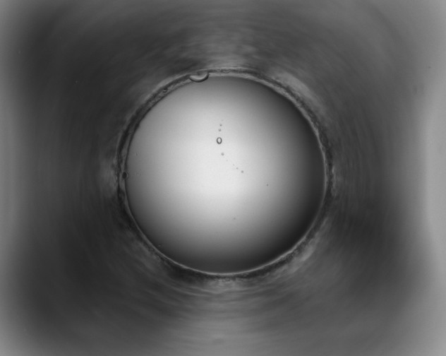 X0000089391212200706151216