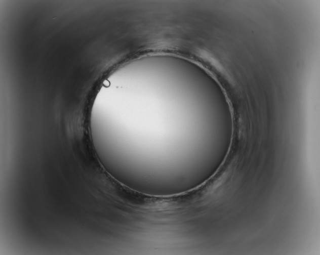 X0000089391213200706151216