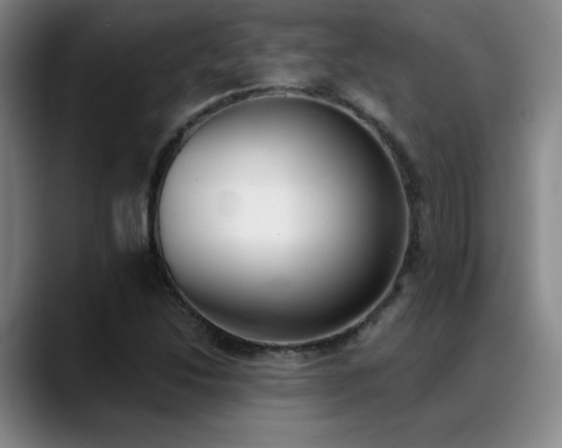 X0000089391214200706151216