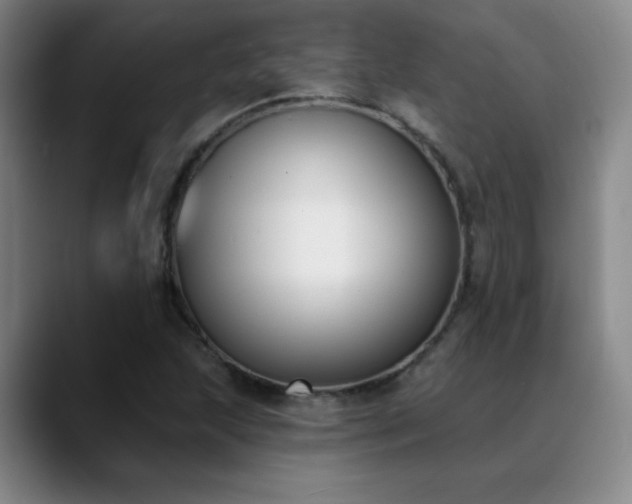 X0000089391215200706151216