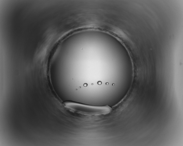 X0000089391216200706151216