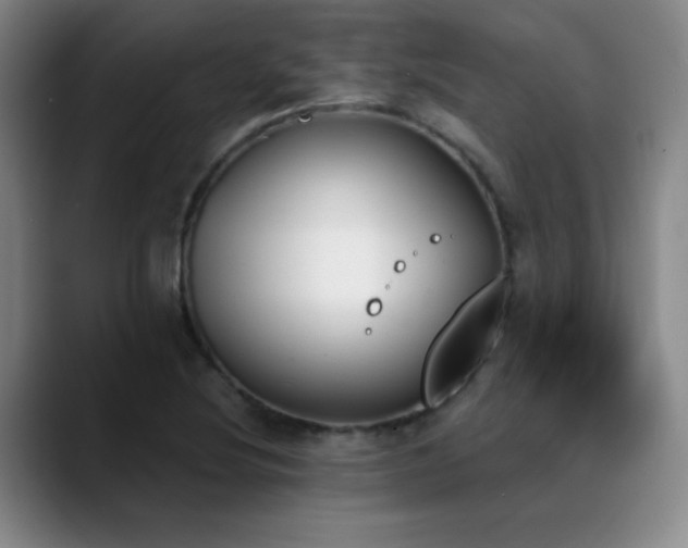 X0000089391220200706151216