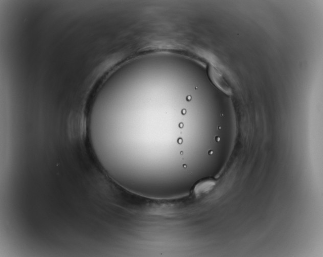 X0000089391221200706151216