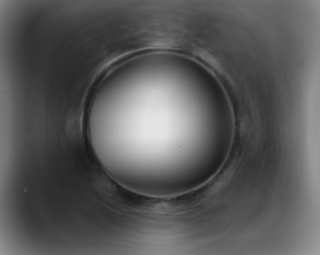 X0000089391222200706151216