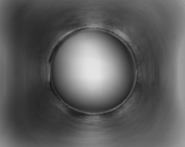 X0000089391223200706151216
