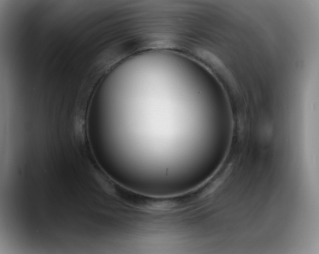 X0000089391225200706151216