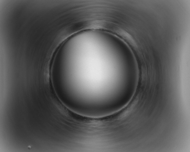 X0000089391226200706151216