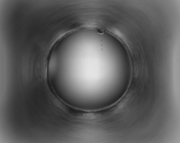 X0000089391227200706151216