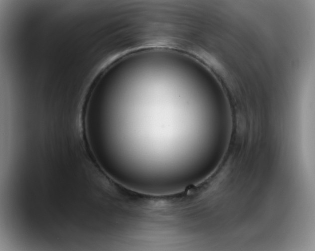 X0000089391230200706151216