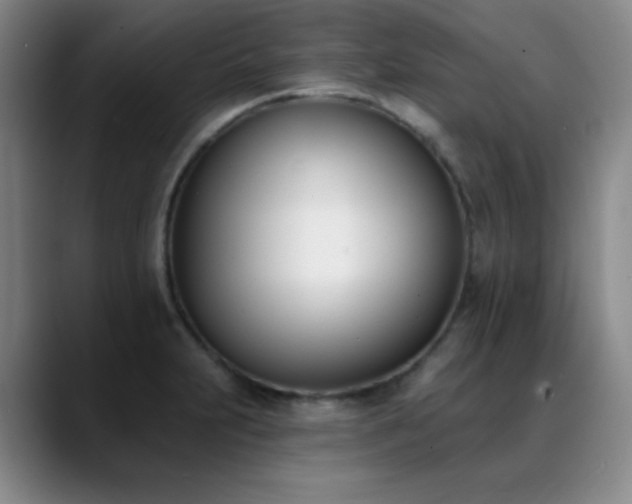 X0000089391231200706151216