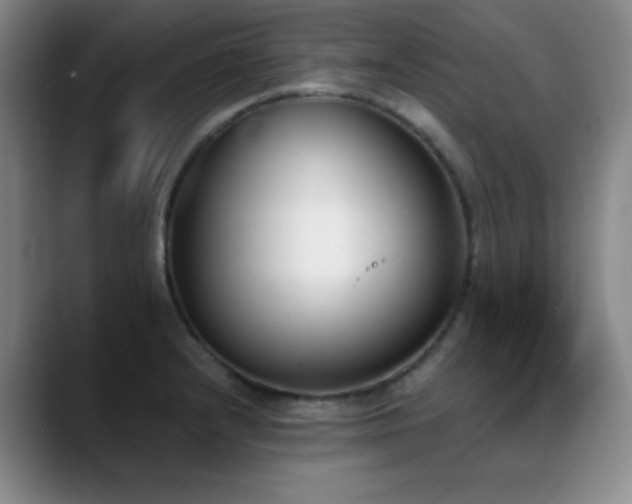 X0000089391232200706151216