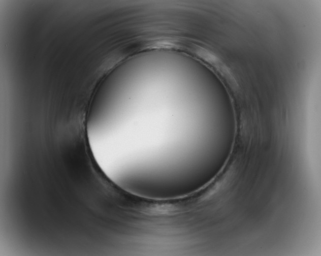 X0000089391233200706151216