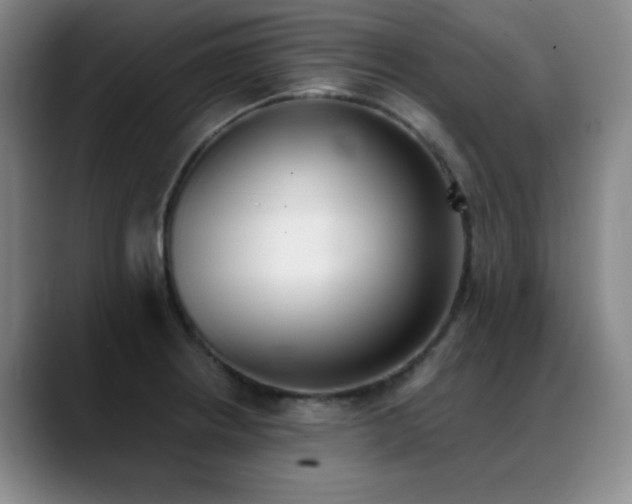 X0000089391234200706151216