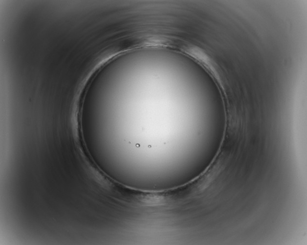 X0000089391235200706151216