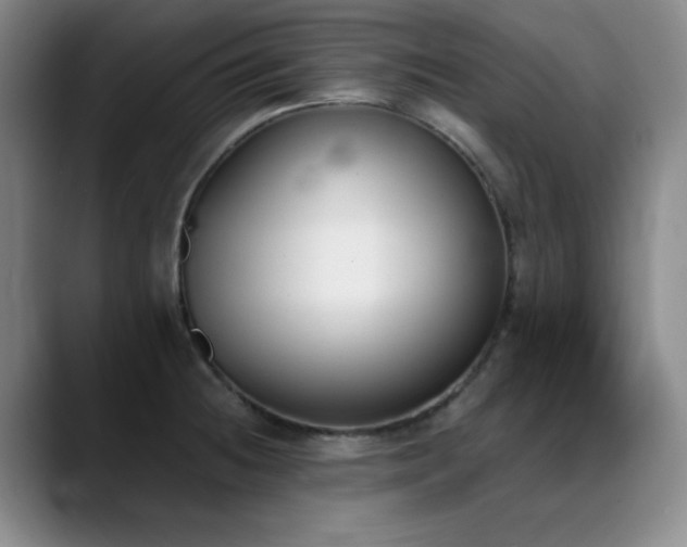 X0000089391236200706151216
