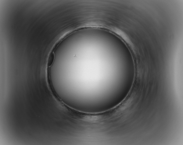 X0000089391237200706151216