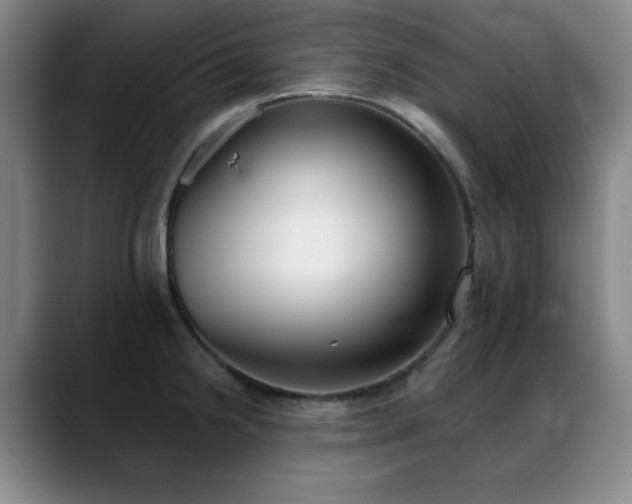 X0000089391238200706151216