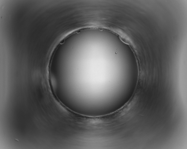 X0000089391239200706151216
