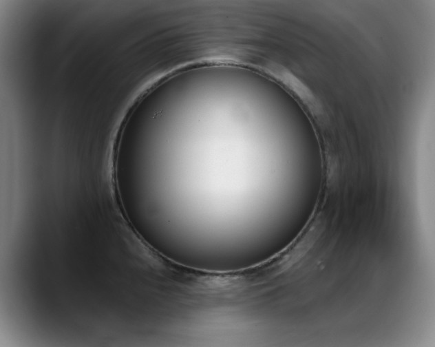X0000089391240200706151216