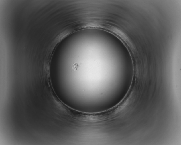 X0000089391241200706151216