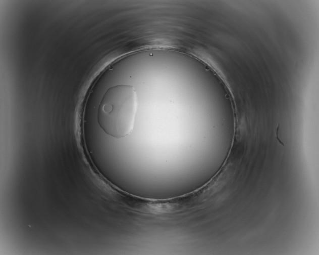 X0000089391243200706151216
