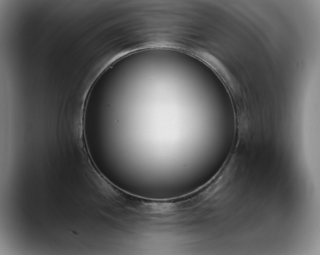 X0000089391244200706151216