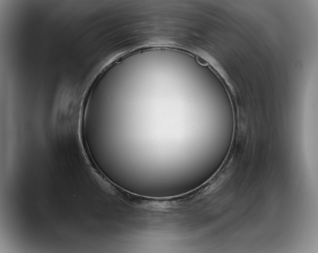 X0000089391245200706151216