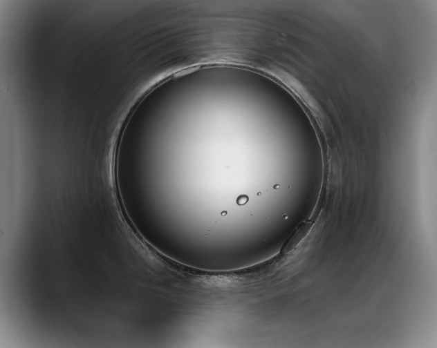 X0000089391246200706151216