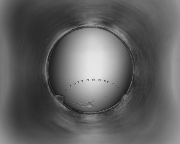 X0000089391247200706151216