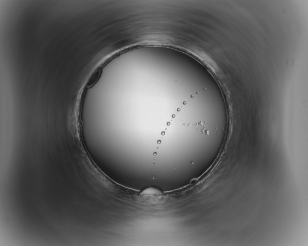 X0000089391248200706151216