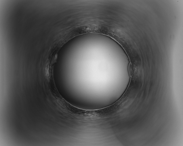 X0000089391250200706151216