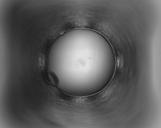 X0000089391251200706151216