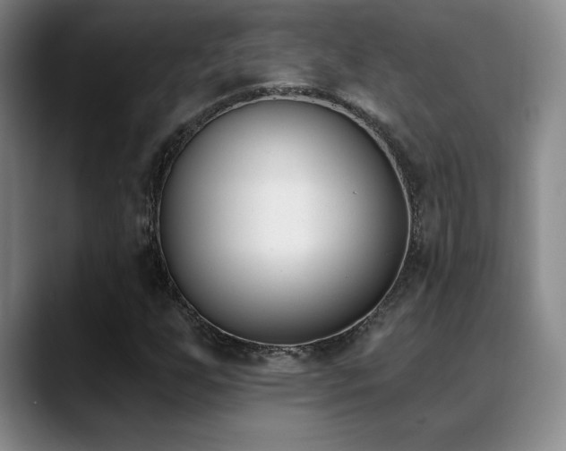 X0000089391255200706151216