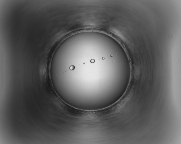 X0000089391259200706151216