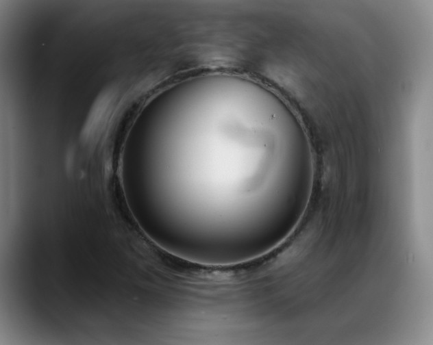 X0000089391261200706151216