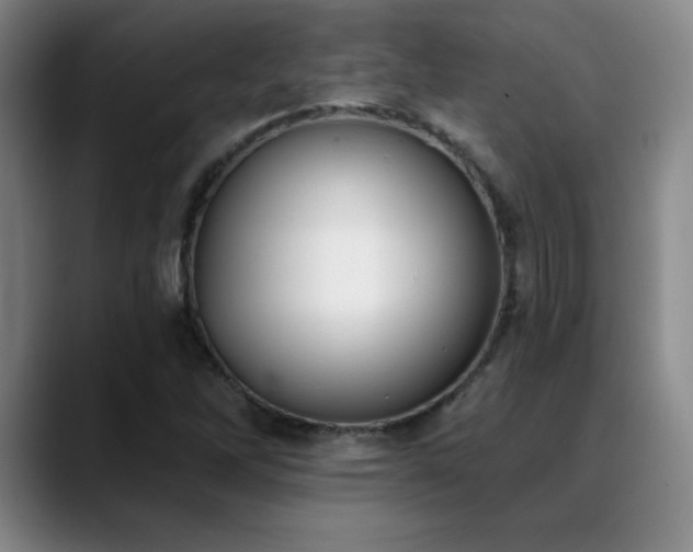 X0000089391262200706151216