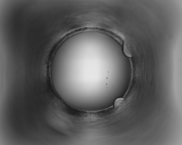 X0000089391263200706151216