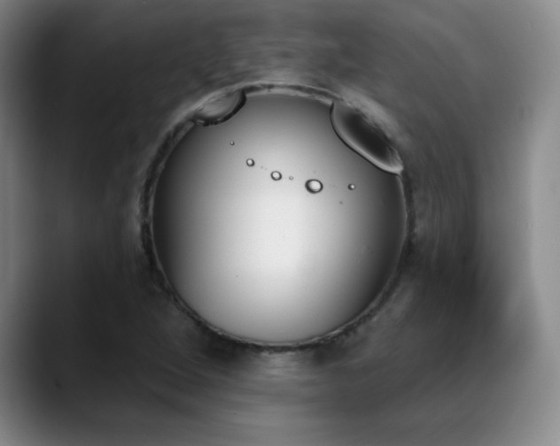 X0000089391264200706151216
