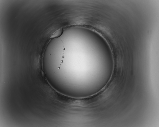 X0000089391265200706151216