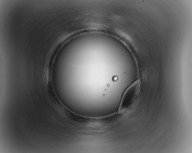 X0000089391267200706151216