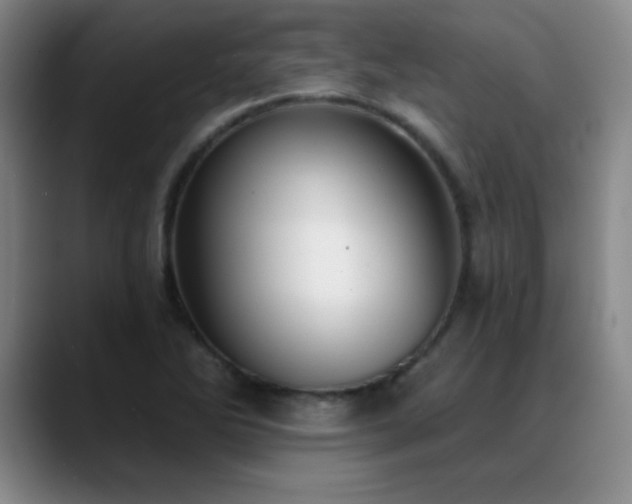 X0000089391270200706151216