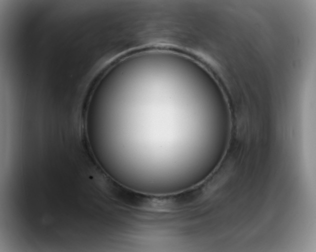 X0000089391271200706151216
