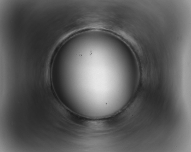 X0000089391272200706151216