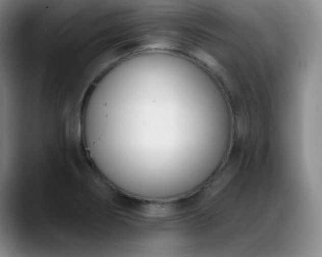 X0000089391274200706151216